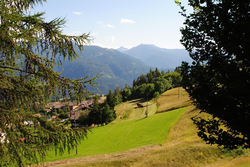 Villa Carmela - Val Di Fiemme Dolomites Varena Værelse billede